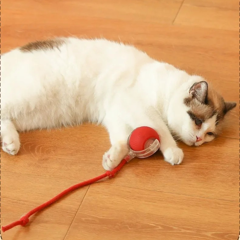 Juguetes Inteligentes para Gat - Pet Supplies First reseña y precio