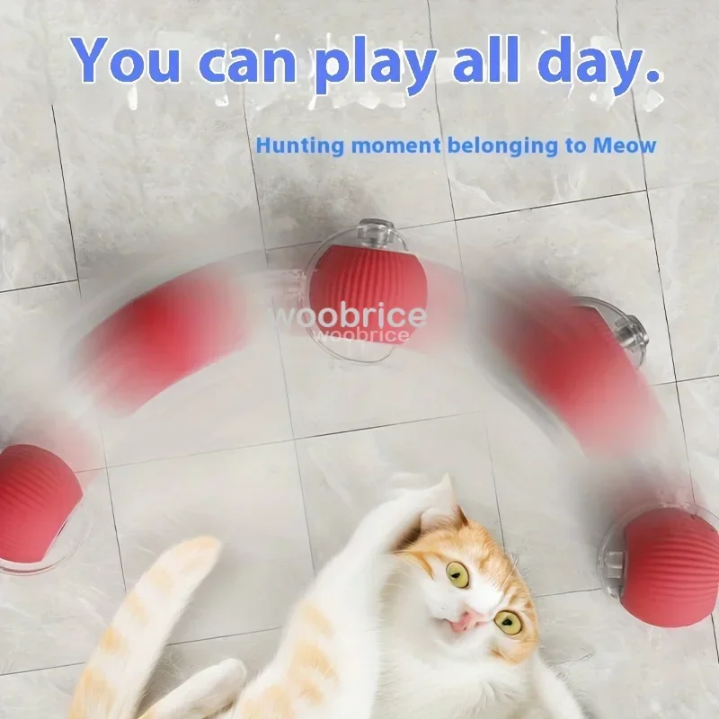 Juguetes Inteligentes para Gat - Pet Supplies First reseña y precio