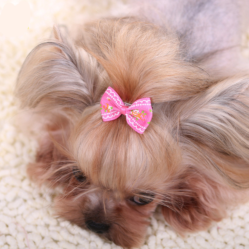 Horquilla para el pelo para pe - Pet Supplies York reseña y precio
