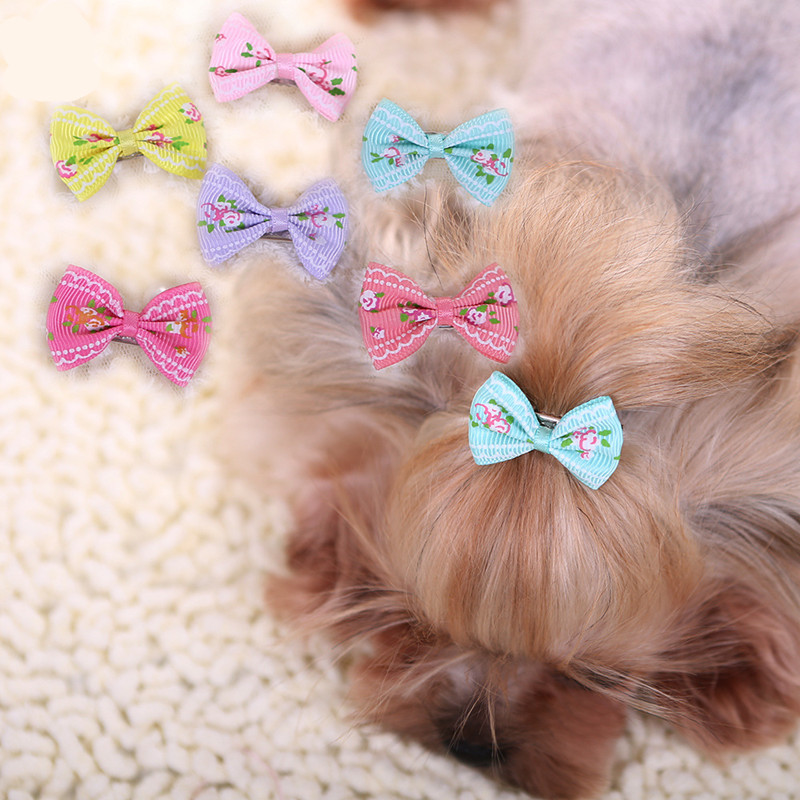 Horquilla para el pelo para pe - Pet Supplies York reseña y precio