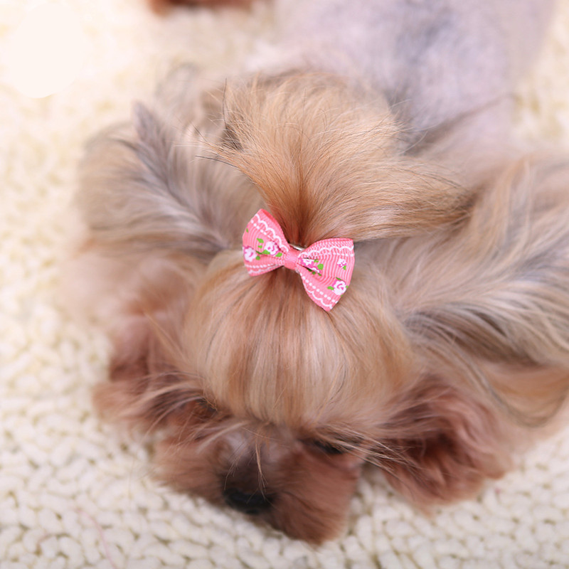 Horquilla para el pelo para pe - Pet Supplies York reseña y precio