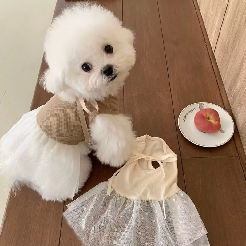 Ropa de verano para perros, fa - Pet Supplies York reseña y precio