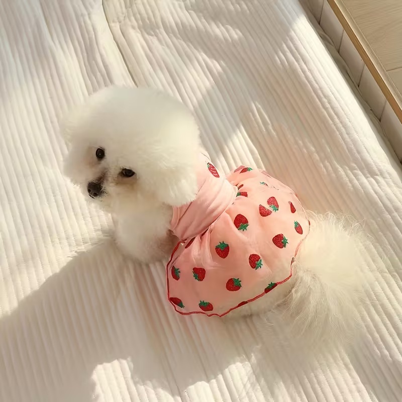 Falda de Verano Delgada para C - Pet Supplies York reseña y precio