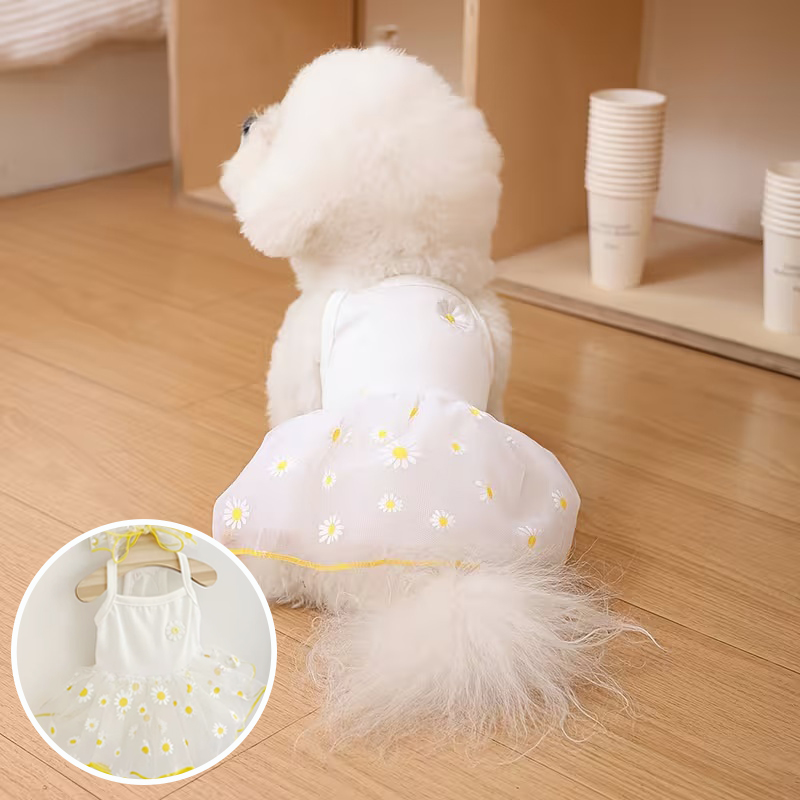 Falda de Verano Delgada para C - Pet Supplies York reseña y precio