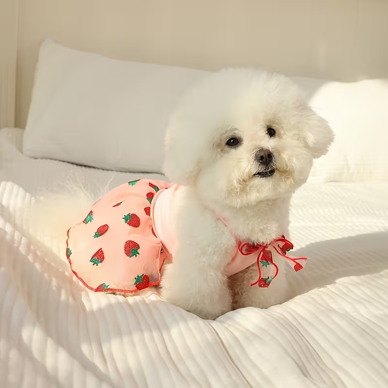 Falda fina de princesa para ca - Pet Supplies York reseña y precio
