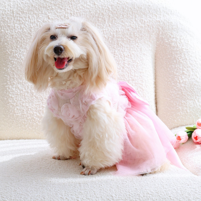 Falda de Princesa Delgada para - Pet Supplies York reseña y precio