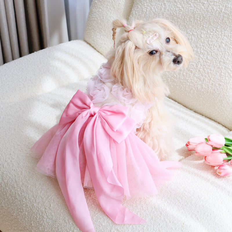 Falda de Princesa Delgada para - Pet Supplies York reseña y precio