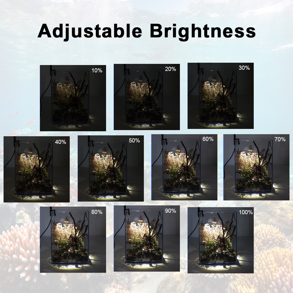 Luz LED súper delgada para acu - Pet Supplies Pet Shop reseña y precio