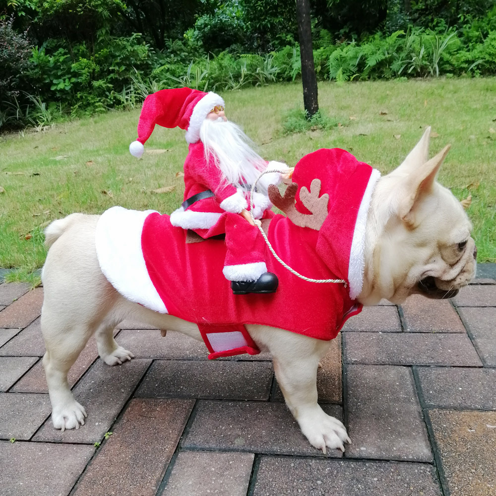Disfraz de Feliz Año Nuevo par - Pet Supplies York reseña y precio